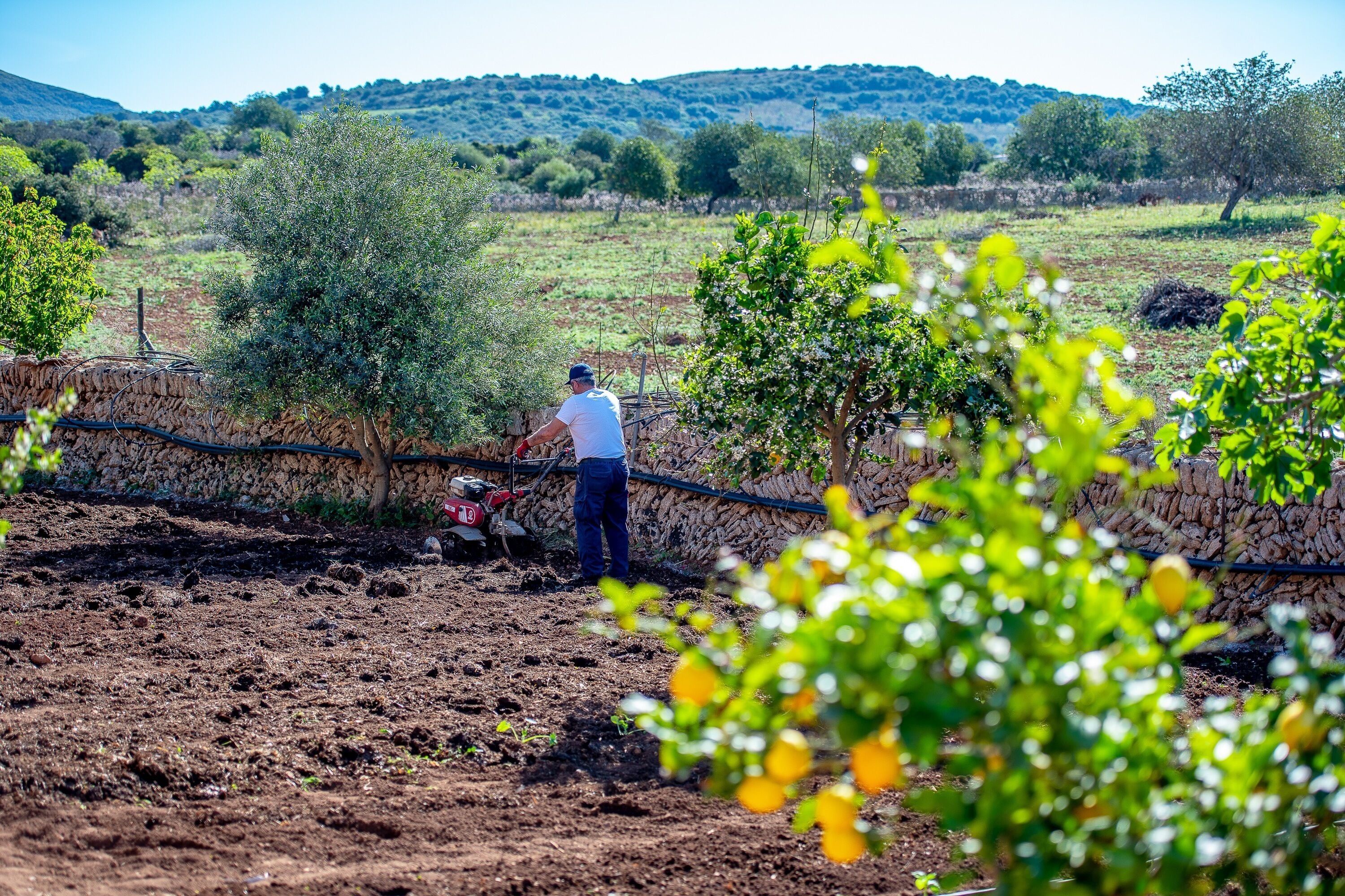Foto - Sos Ferres D'en Morey
