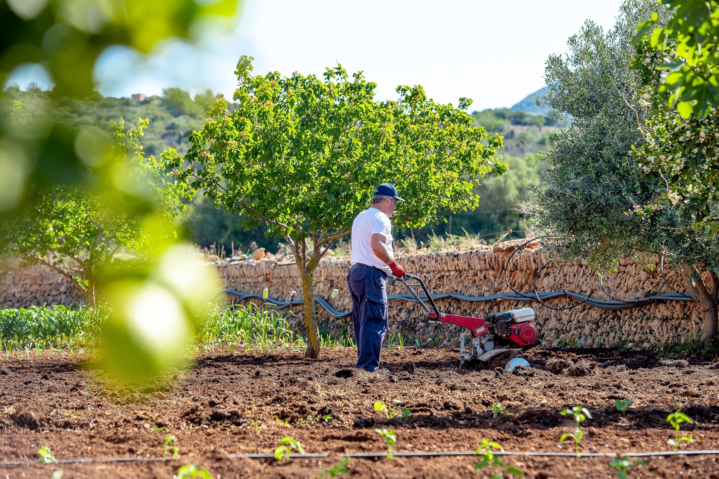 Foto - Sos Ferres D'en Morey