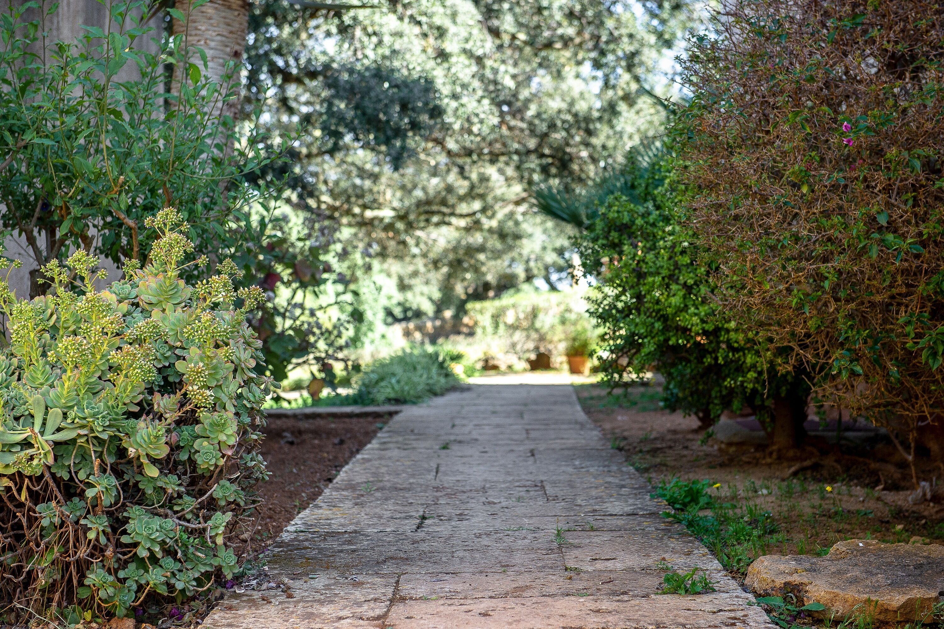 Foto - Sos Ferres D'en Morey