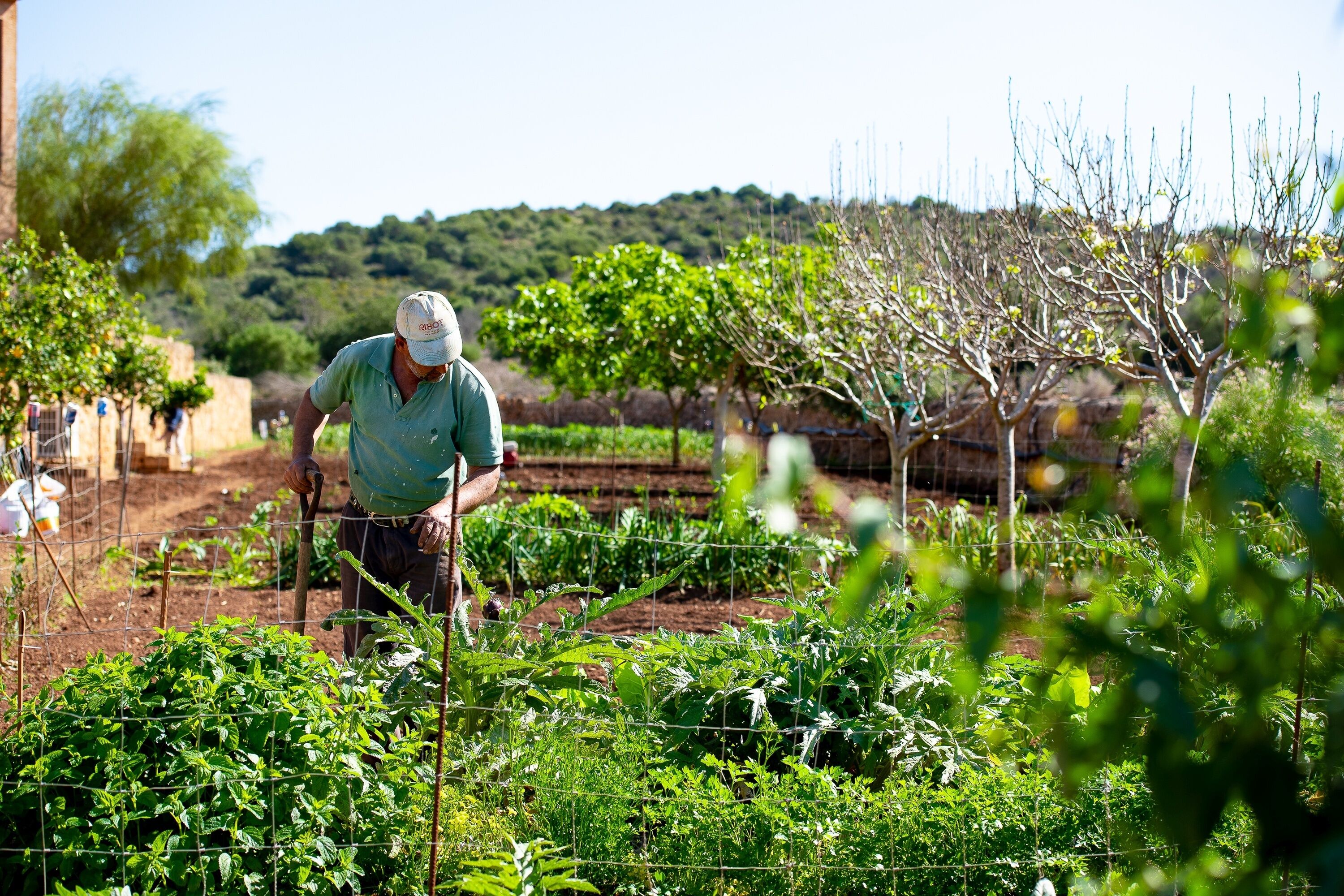 Foto - Sos Ferres D'en Morey