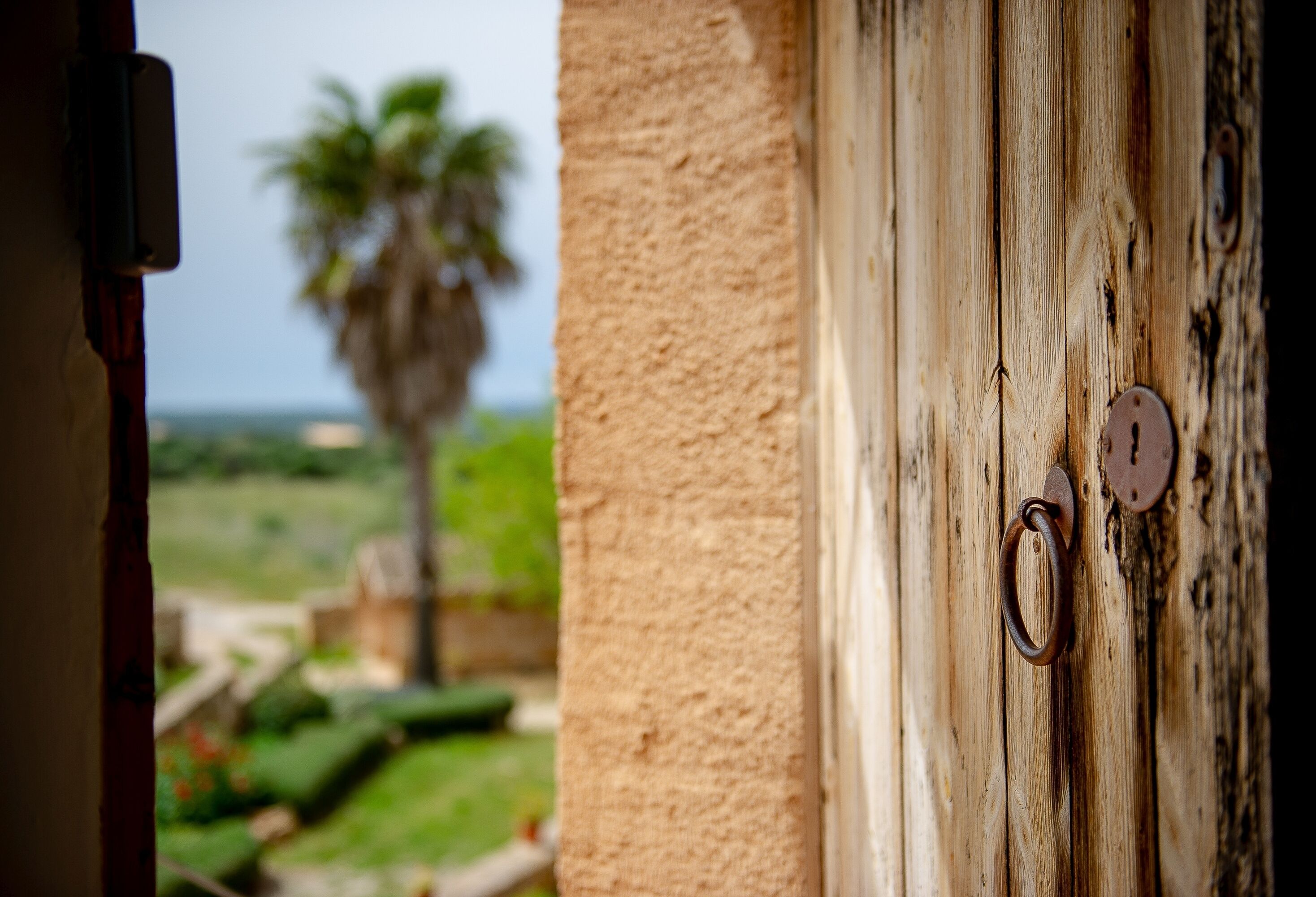 Una puerta de madera con manija de metal y cerradura, que da a una vista de una palmera y un paisaje distante.