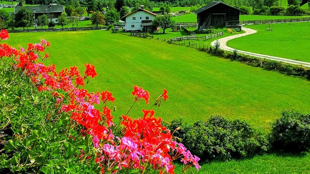 Un paysage rural avec un champ verdoyant, une grange en bois et des maisons en arrière-plan.