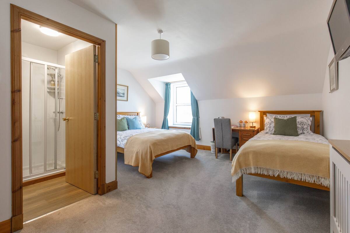 A bedroom with two beds, a desk, and a walk-in closet.