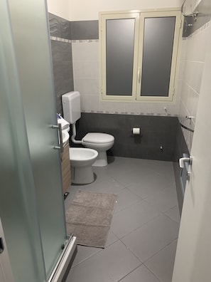 Hair dryer, soap, shampoo, toilet paper