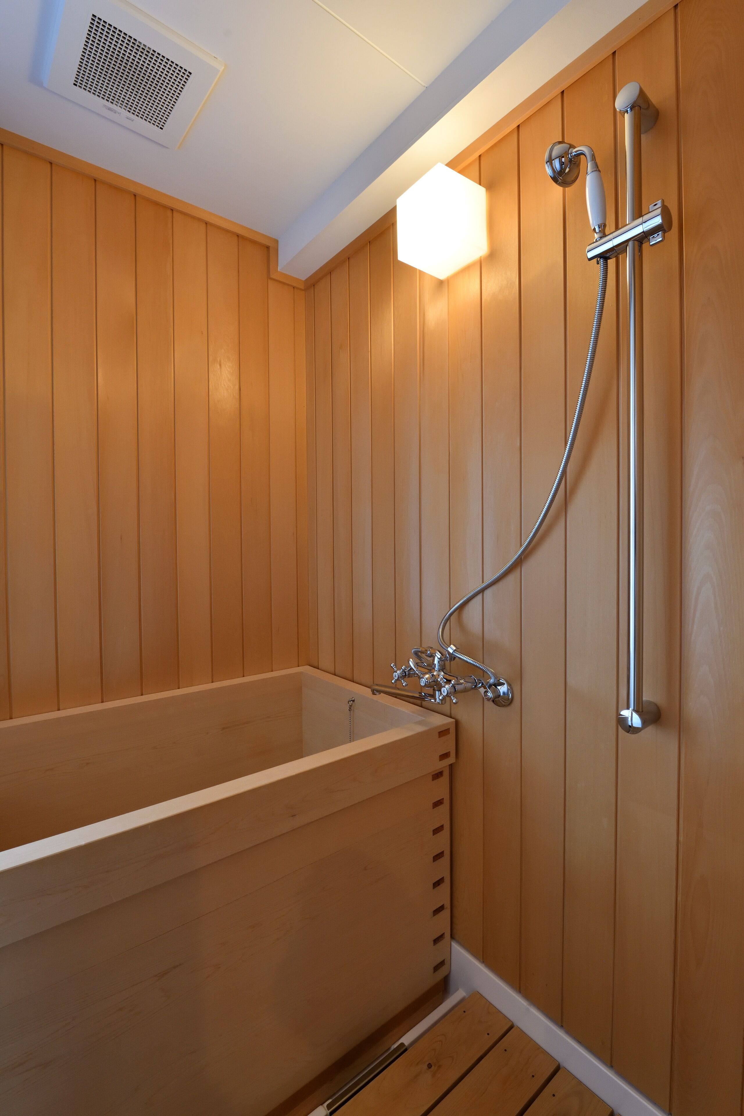 Combined shower/bathtub, hair dryer, slippers, electronic bidet
