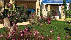 Un bâtiment moderne à la façade en pierre, doté de fenêtres en arc de cercle et agrémenté d’un jardin bien entretenu où l’on trouve des cactus et des fleurs roses.