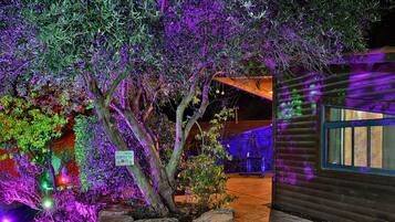 Huisje | Uitzicht op de tuin