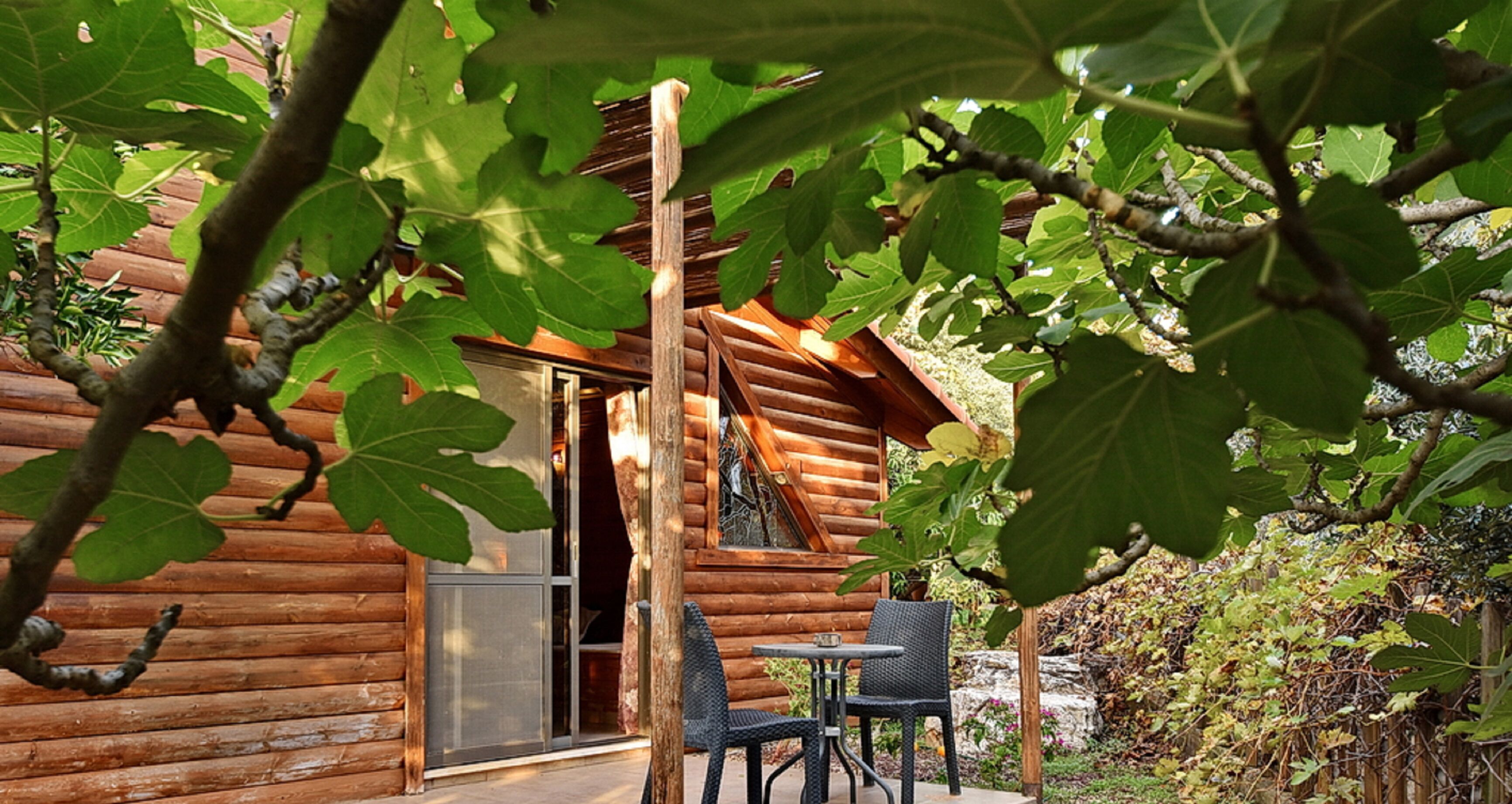 Cabana | Terrassa o pati