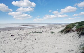 بالقرب من الشاطئ