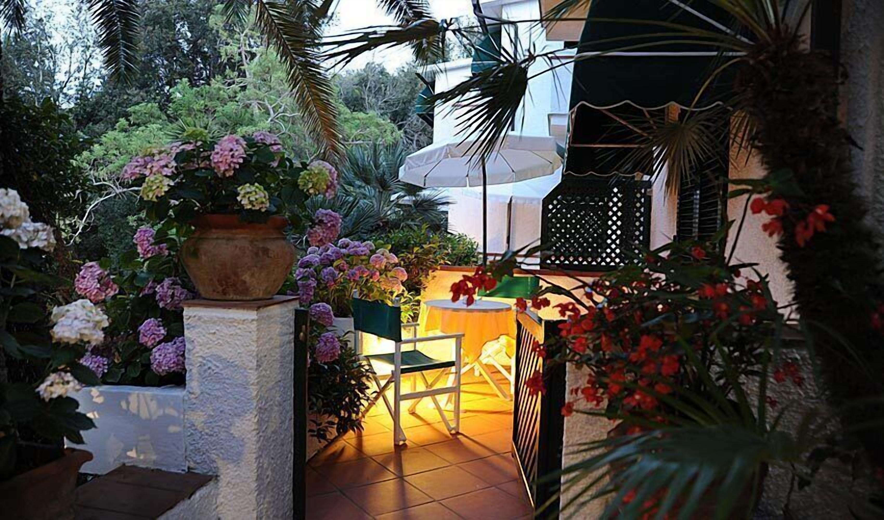 Un espace jardin aménagé avec des plantes en pot et une table entourée de chaises.