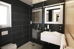 Ducha, cabezal de ducha tipo lluvia, secador de pelo, toallas