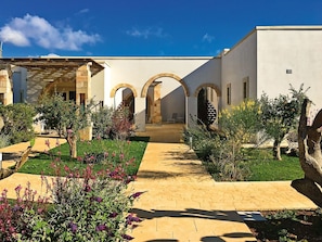 A courtyard with a paved walkway, arches, and various plants.