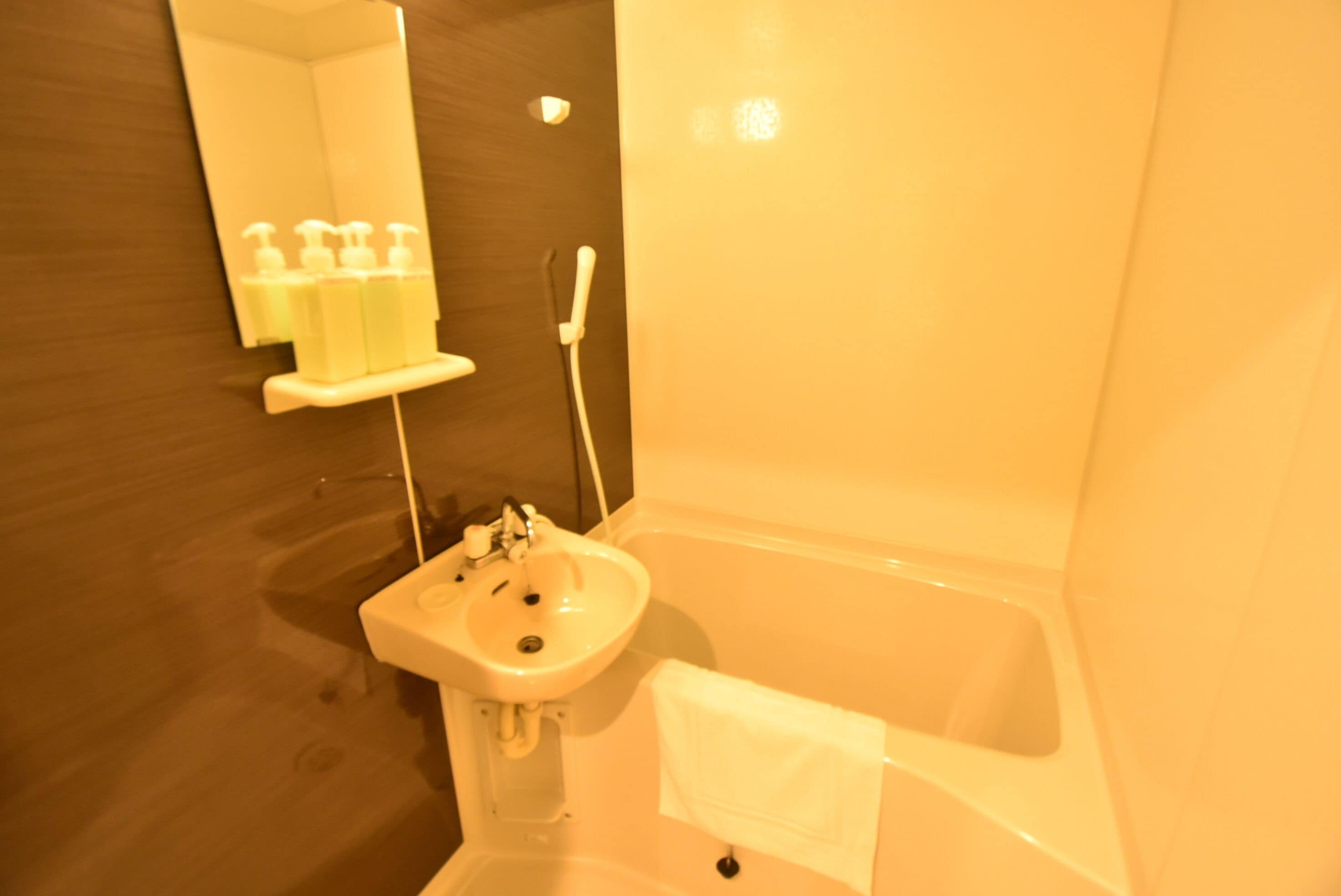 combined shower/bathtub, free toiletries, hair dryer, electronic bidet