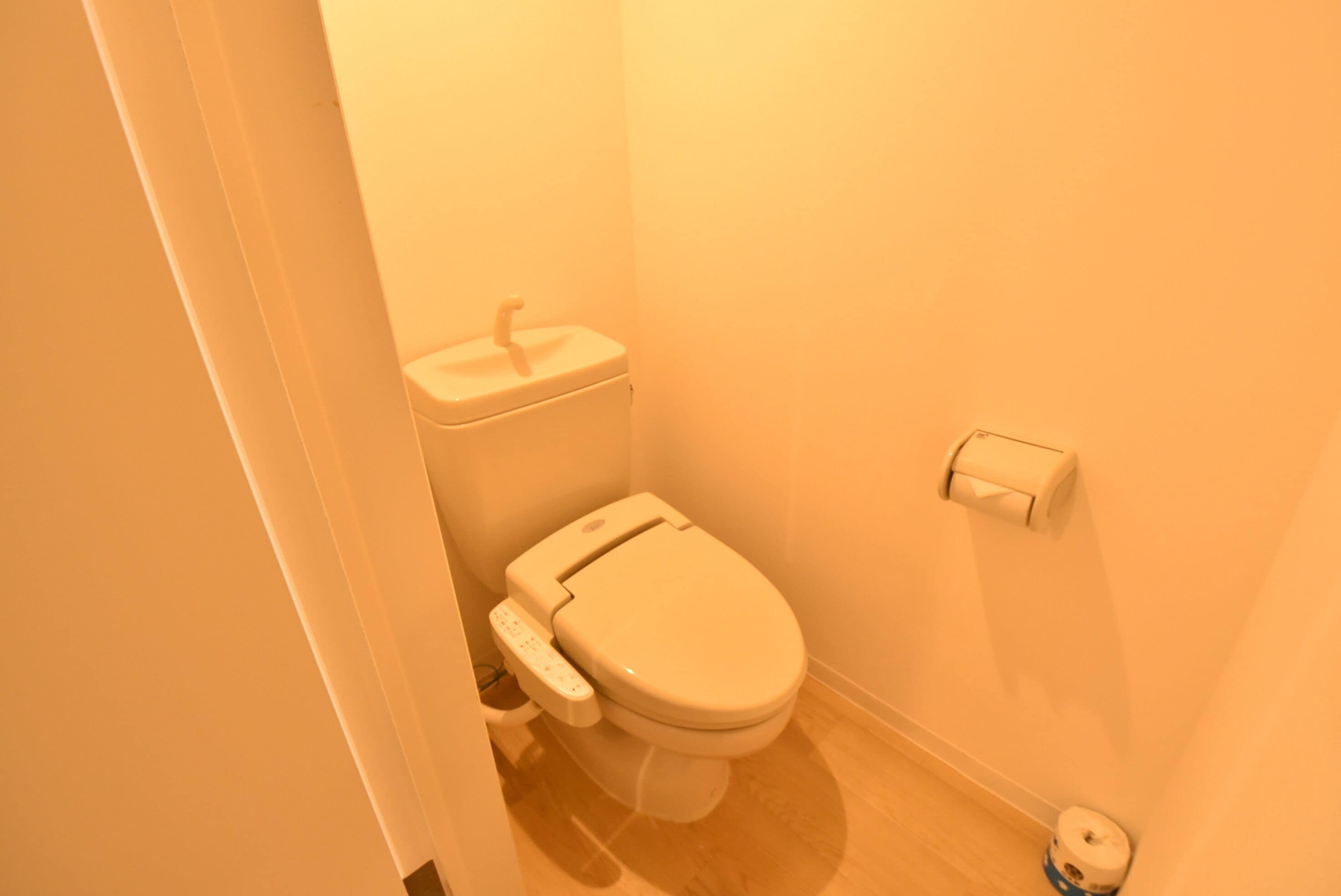 combined shower/bathtub, free toiletries, hair dryer, electronic bidet