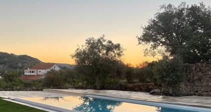Casas da Villa - Oliveira e Videira