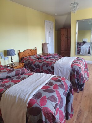 Standard Double or Twin Room | Free WiFi - Golden Dawn Guesthouse (Saggart)
