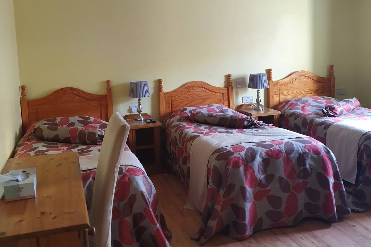 A room with two wooden beds, a wooden desk, a chair, a ceiling fan, and a nightstand with a lamp.