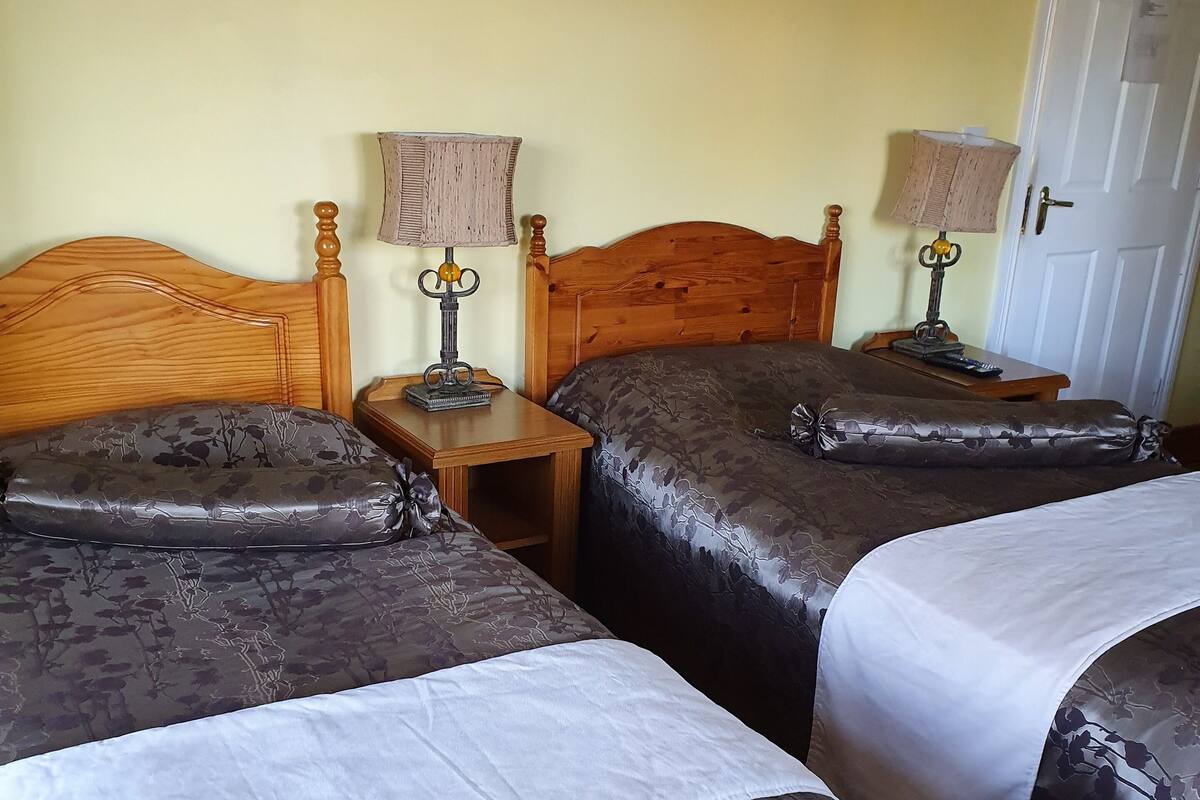 Standard Double or Twin Room | WiFi (free)