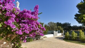 A paved pathway leading to a building with a white fence and a small white structure in the background.