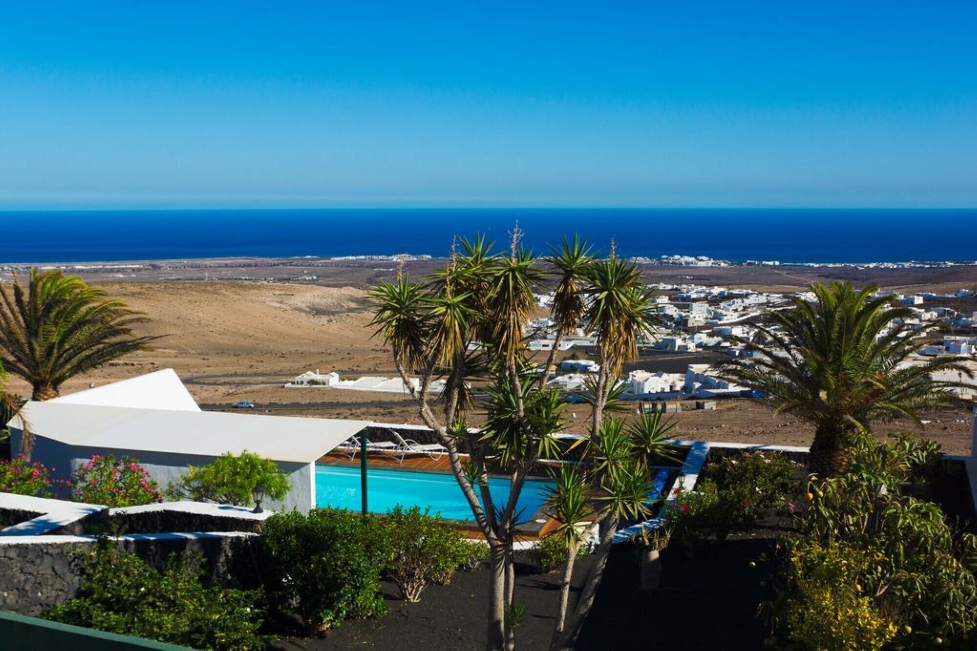 A coastal view with a pool, palm trees, and white buildings.