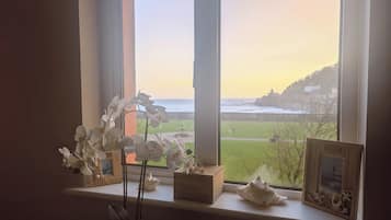 Ett fönster med utsikt över havet, en krukväxt och dekorativa föremål på fönsterbrädan.