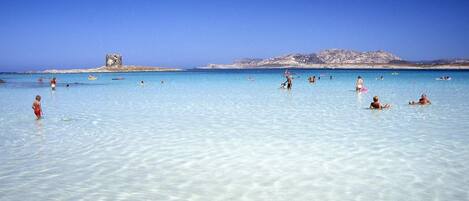 水肺潜水、帆板运动、排球、帆船运动