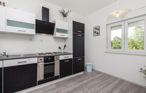 Kühlschrank, Mikrowelle, Herdplatte, Geschirrspüler