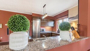 Une cuisine moderne dotée de plans de travail en granit, d’appareils électroménagers en acier inoxydable et de deux plantes en pot.