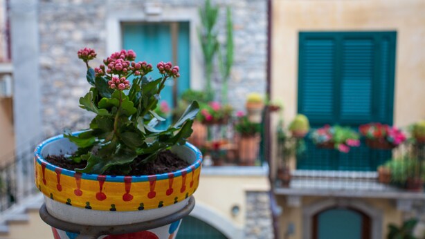 A potted plant with red flowers in a colorful pot, set against a building with a stone facade and a window with green shutters. - Casa Don Micio (Taormina)