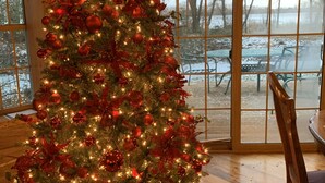 A Christmas tree with red ornaments and lights, placed on a red mat with green patterns, in a room with wooden floors and large windows. - Log Inn on Madison Lake.   Multi generation. Corporate retreat for team building (Madison lake)