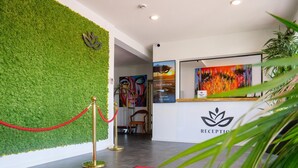 Zona de recepci ón con pared verde, alfombra roja y mostrador de salida.