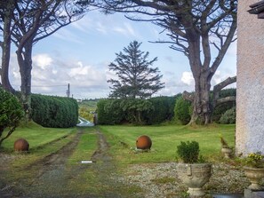 A rural pathway leading to a house with a large tree and spherical objects on the lawn.
