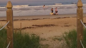 A beach with a sandy path leading to the water, a grassy area in the foreground, and a metal fence with a rope.
