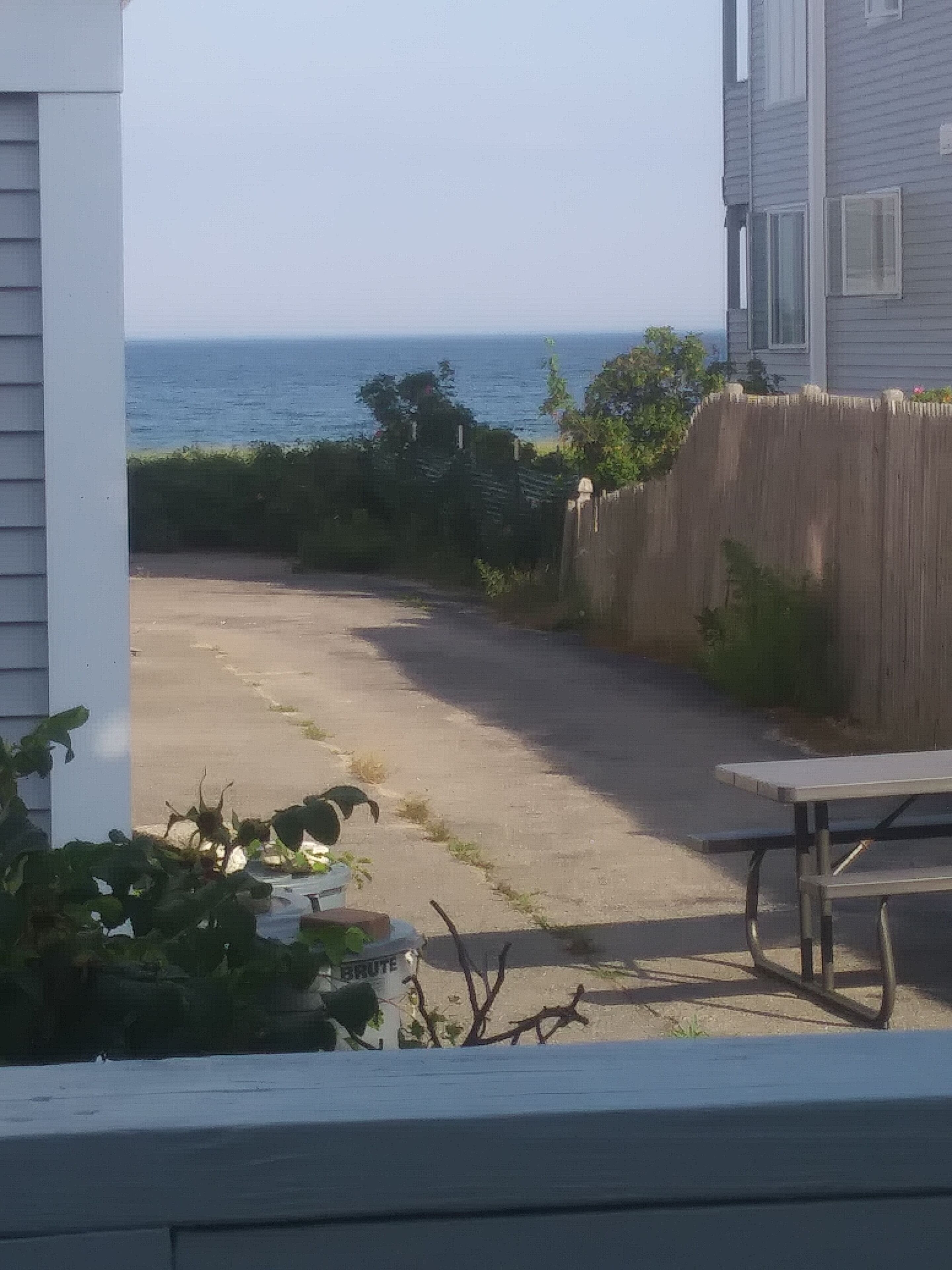 A view of a paved driveway leading to a wooden fence, with a picnic table and a sign that reads "BRUTE" in the foreground.