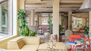 Een ruime kamer met een groot raam, meerdere stoelen, een bank en diverse planten.