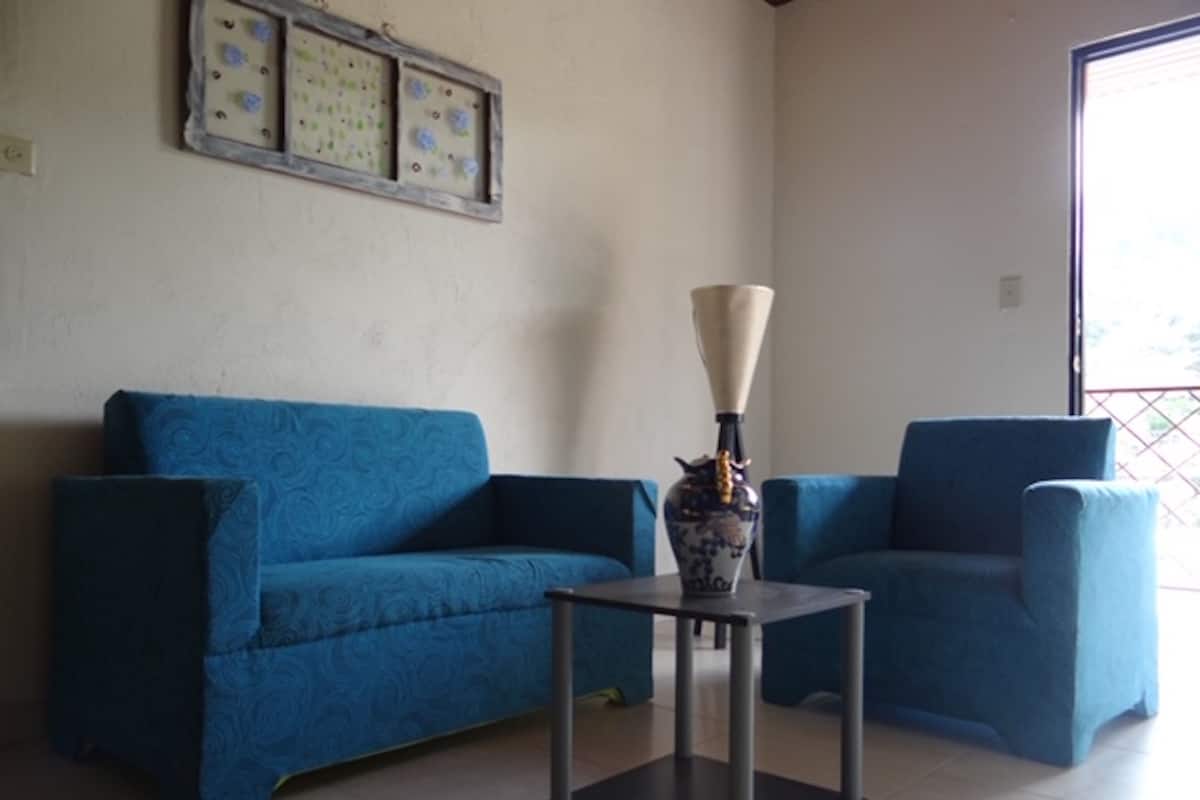 Düz ekran televizyon