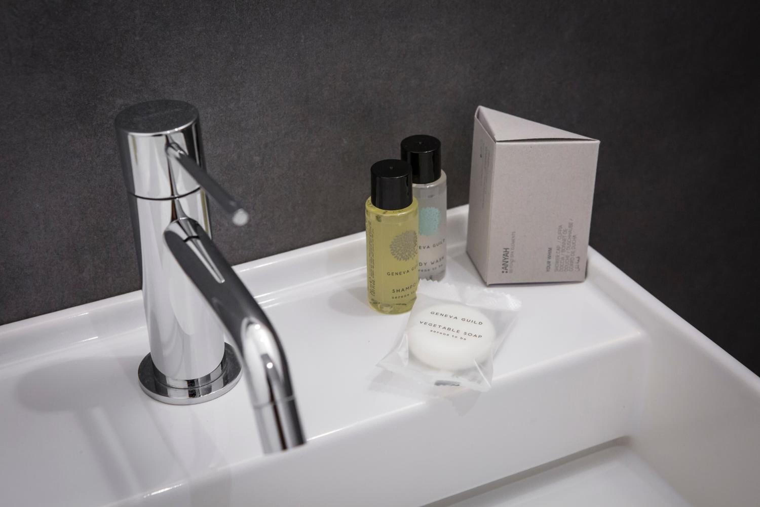 Un lavabo con rubinetteria cromata, una bottiglia di shampoo, una bottiglia di balsamo e una saponetta.