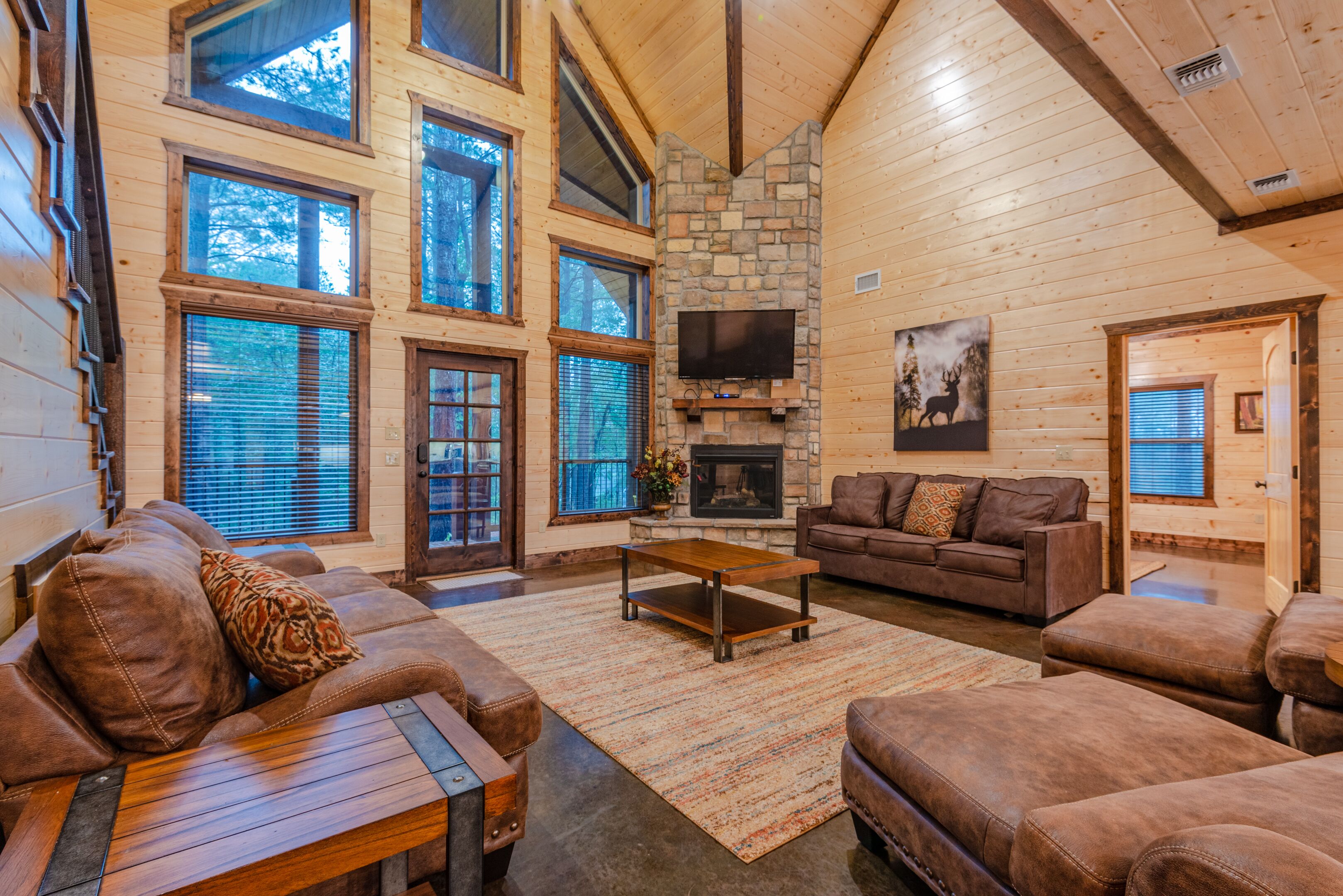 TV, fireplace, stereo