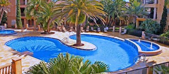 Free Beach Service, Steps to Beach, Pet-Friendly, Pool