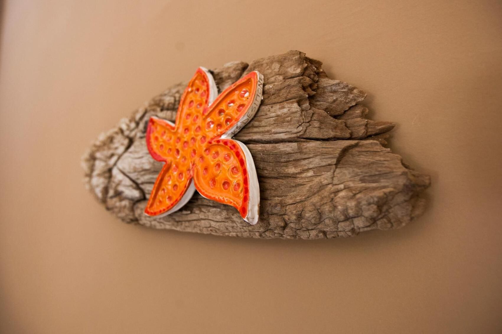 A piece of driftwood with a starfish attached to it.