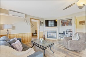 TV, fireplace, DVD player, books
