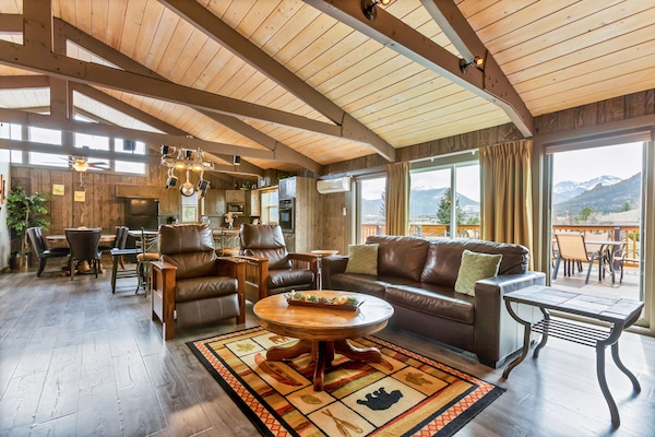 TV, fireplace, DVD player, books