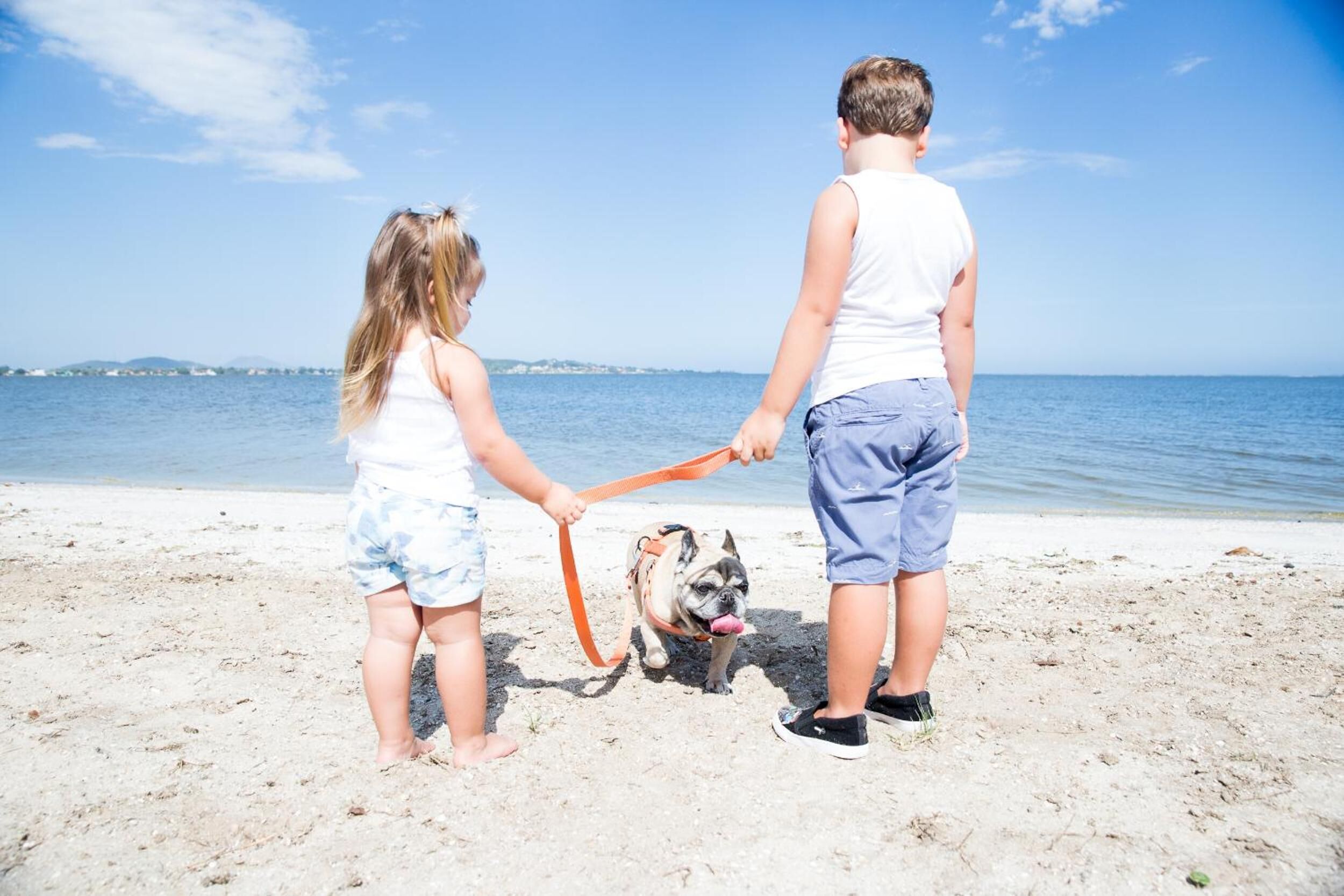 Escena de playa con un niño y un adulto sosteniendo un perro con correa.