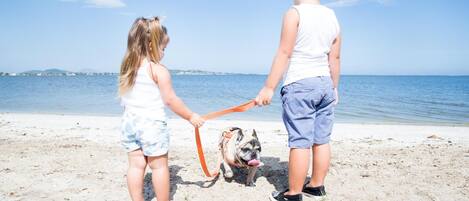 Escena de playa con un niño y un adulto sosteniendo un perro con correa.