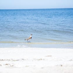 On the beach
