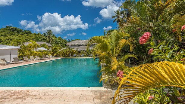 Una piscina cristallina con lettini e ombrelloni, circondata da vegetazione tropicale e strutture con tetti di paglia.