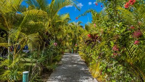 Un sentiero costeggiato da lussureggiante vegetazione tropicale e un cielo azzurro intenso.