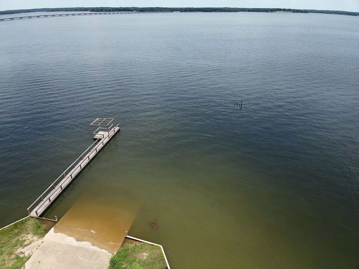 Un muelle largo que se extiende sobre una gran masa de agua, con un área verde al final.