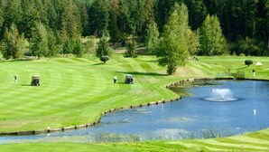 A golf course with a pond, surrounded by dense forest.