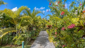 Áreas de la propiedad